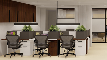 cmda exceutive office